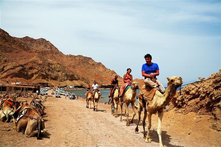 Off-road desert trail
